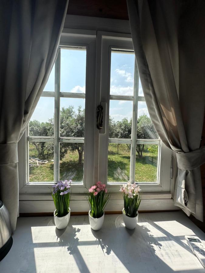 Seyyah Cafe Bungalows Aliaga Zewnętrze zdjęcie