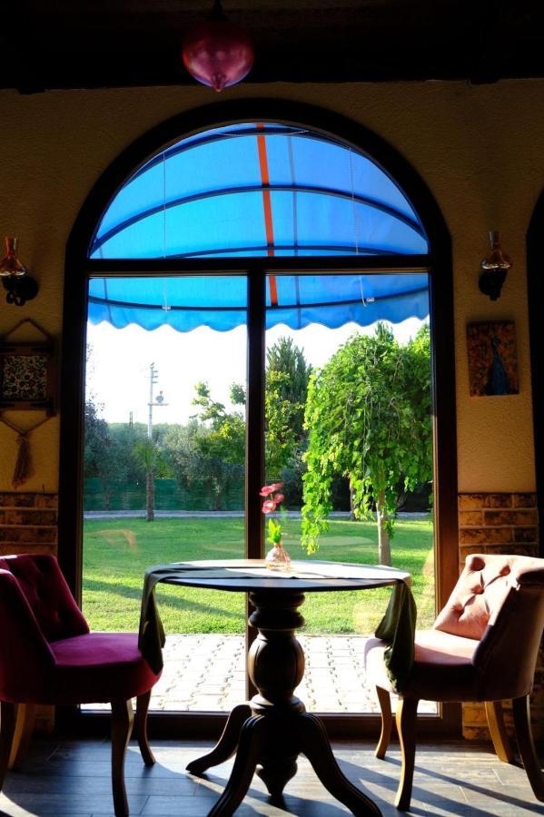 Seyyah Cafe Bungalows Aliaga Zewnętrze zdjęcie